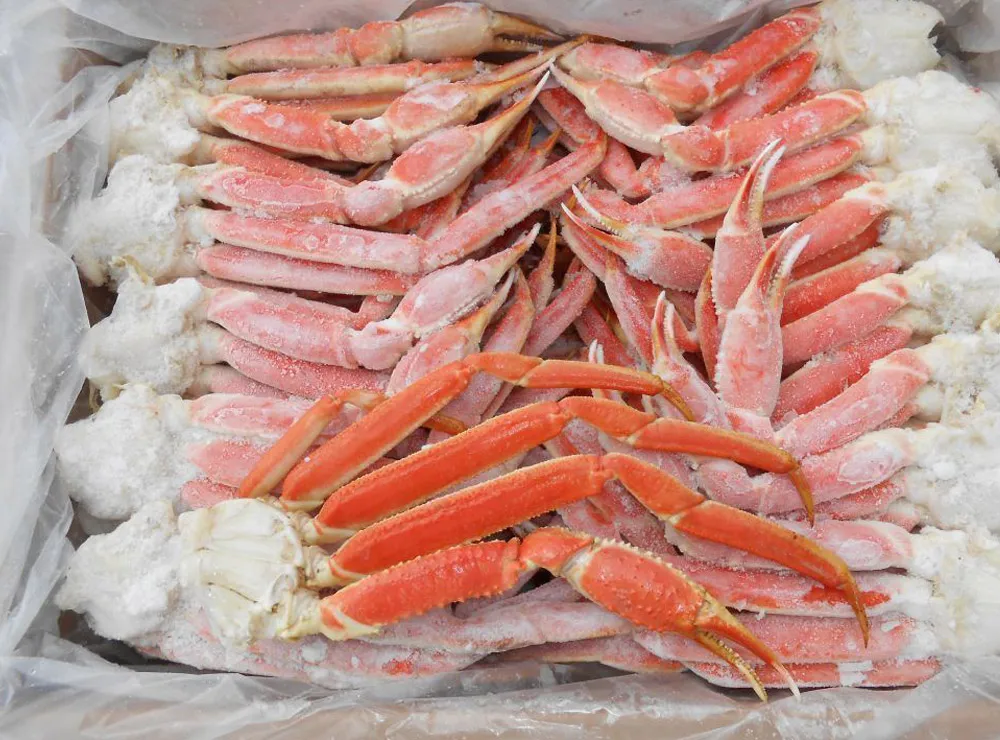 live snow crab 3.jpg
