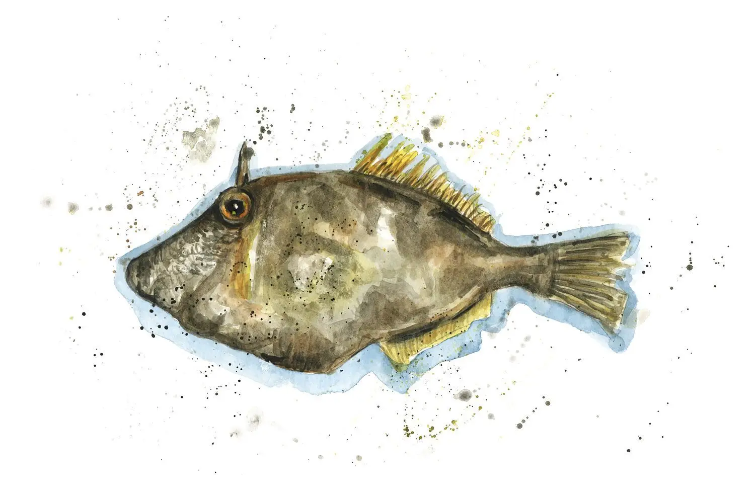 Premium Quality Wholesale Leather Jacket Fish For Sale In Cheap Price