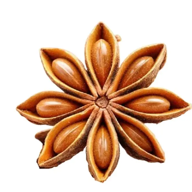 Лучшее качество самый большой размер цветка звездно-анисовый 2024 урожай вьетнамский высокий аромат собранный с горы на высоком холме