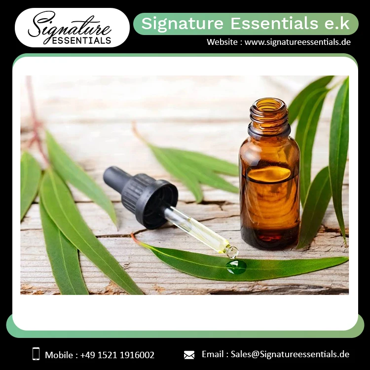 Manufacturer of Private Label Factory Supply Directly 100% Pure  Citronella Oil