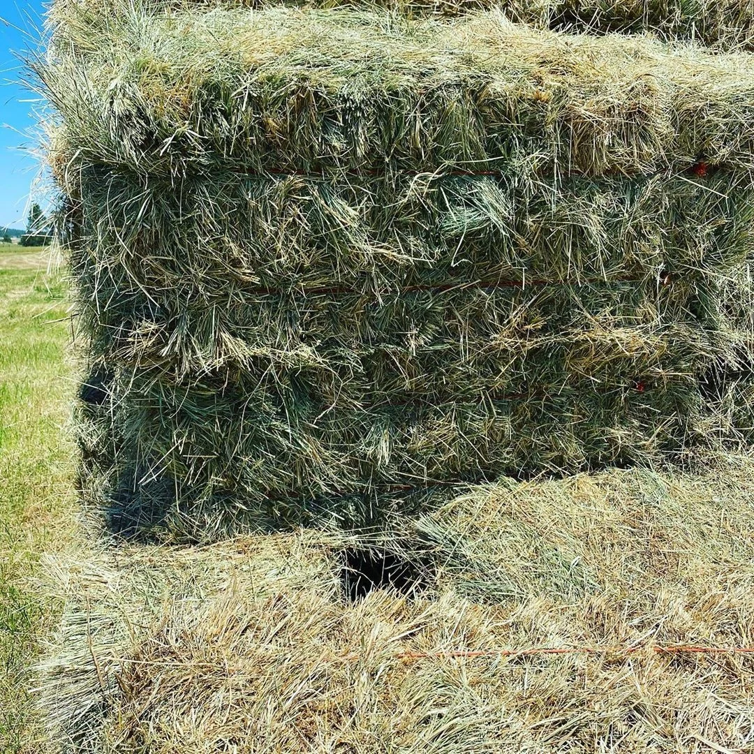 
Best Quality Alfafa Hay for Animal Feeding Stuff Alfalfa ,hay/Timothy hay 