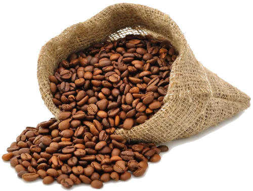 
Coffee Bean Common Cultivation Type Robusta Variety Processing Type Green 90% Maturity 