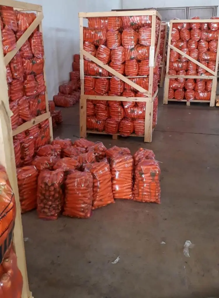 Premium Fresh Carrot Fast Shipping High Quality