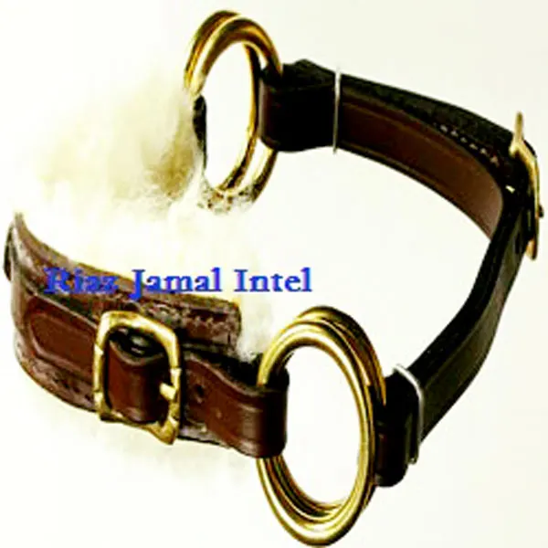 new horse leather whoole hackamore bitless with double brass  rings