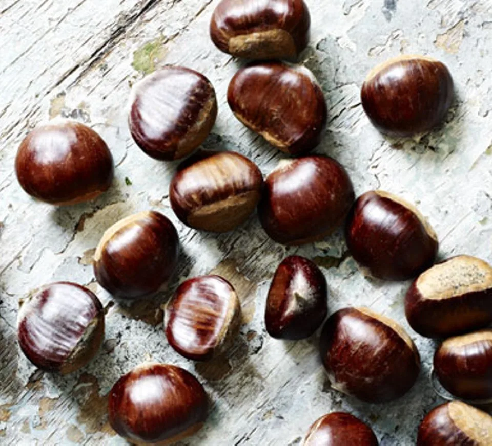 
New crop chestnut price/Chestnut from China/Wholesale chestnut 