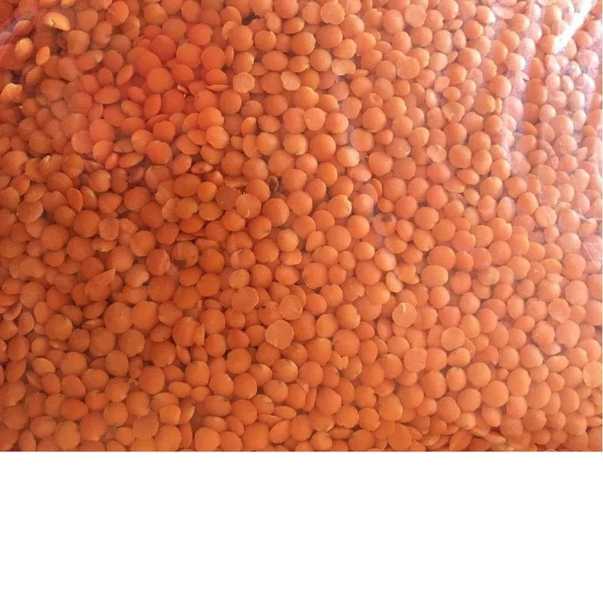 Цельная красная линза шириной 1/2 см с мягким земляным вкусом и мягкой