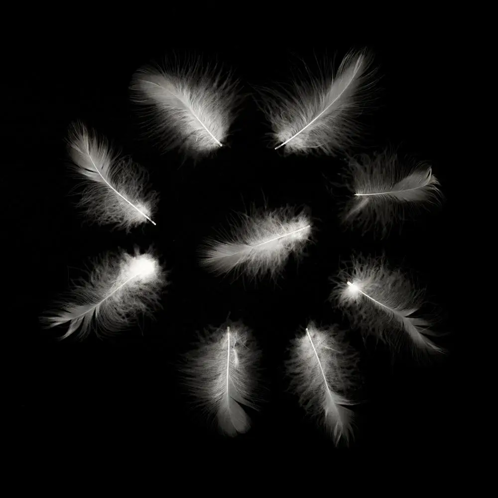 Washed grey duck down feather 2-8 cm for quilt,  pillow made in Vietnam