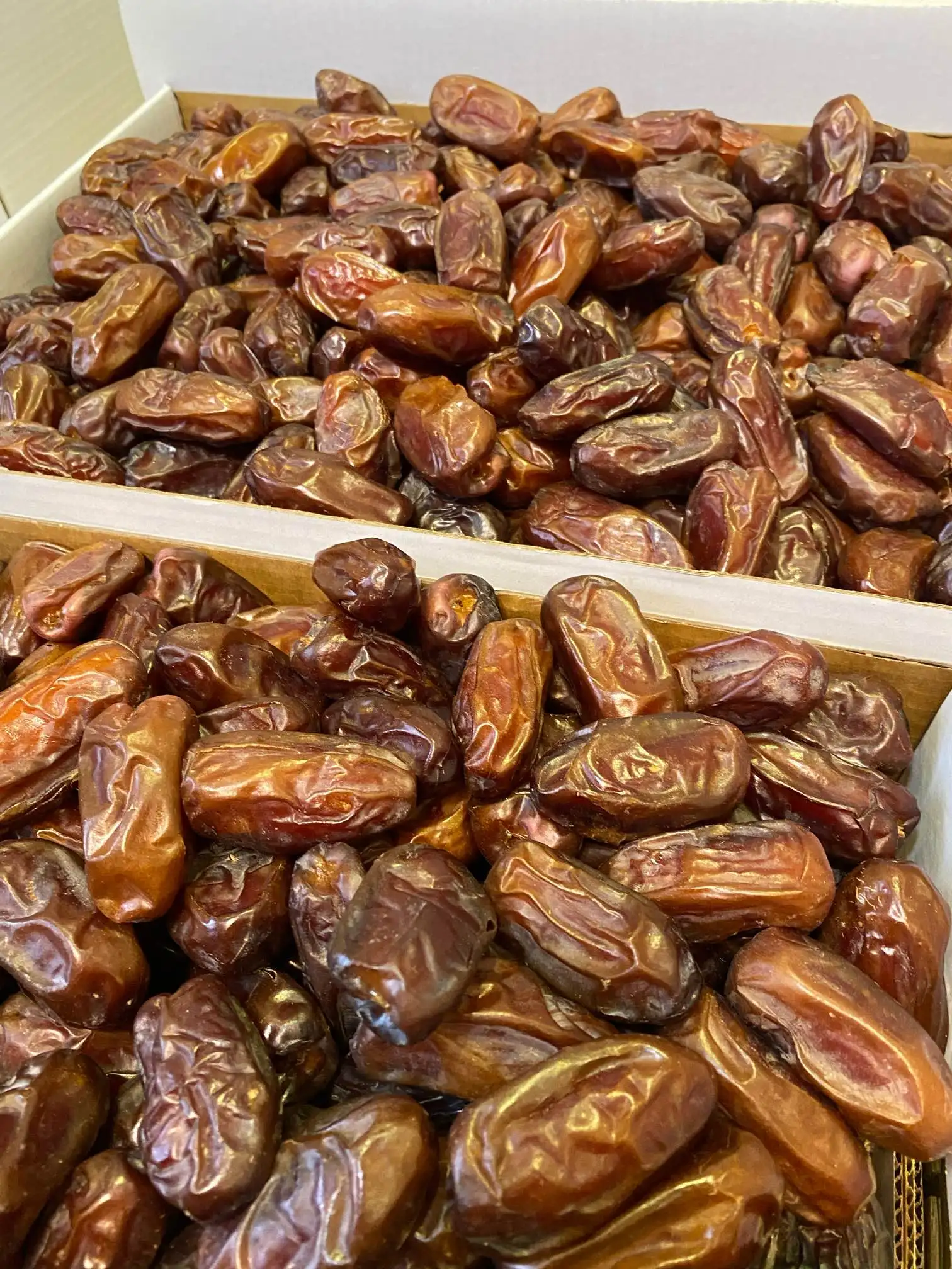 
Khudri dates 