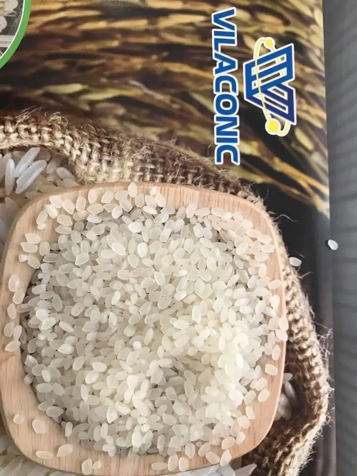  Жасмин/японская/черная/красная/коричневая/КДМ рис для ОАЭ рынка с высоким качеством и конкурентоспособной ценой всех импортеров