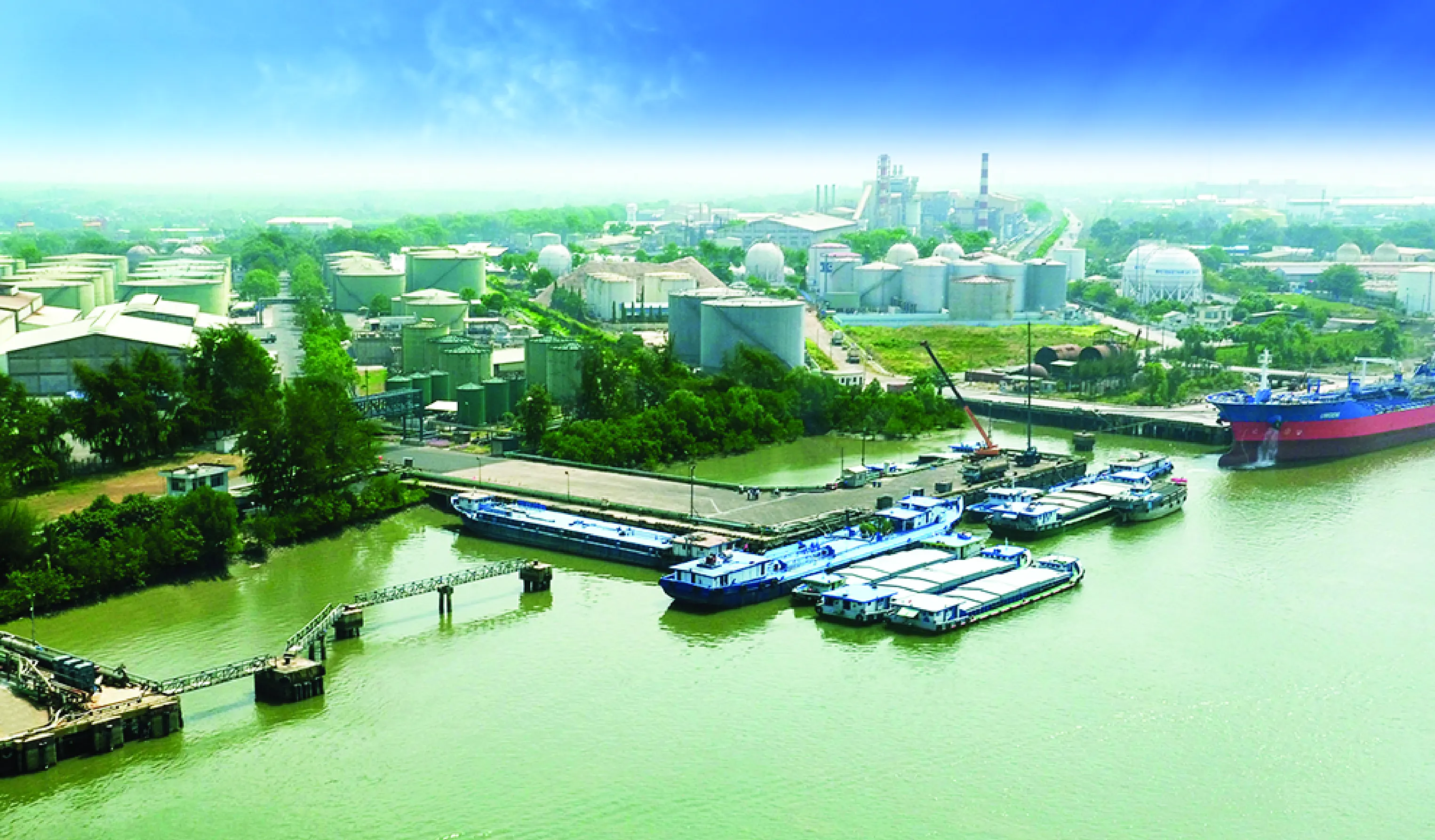 OCTENYL STARCH FOR MAYONNAISE