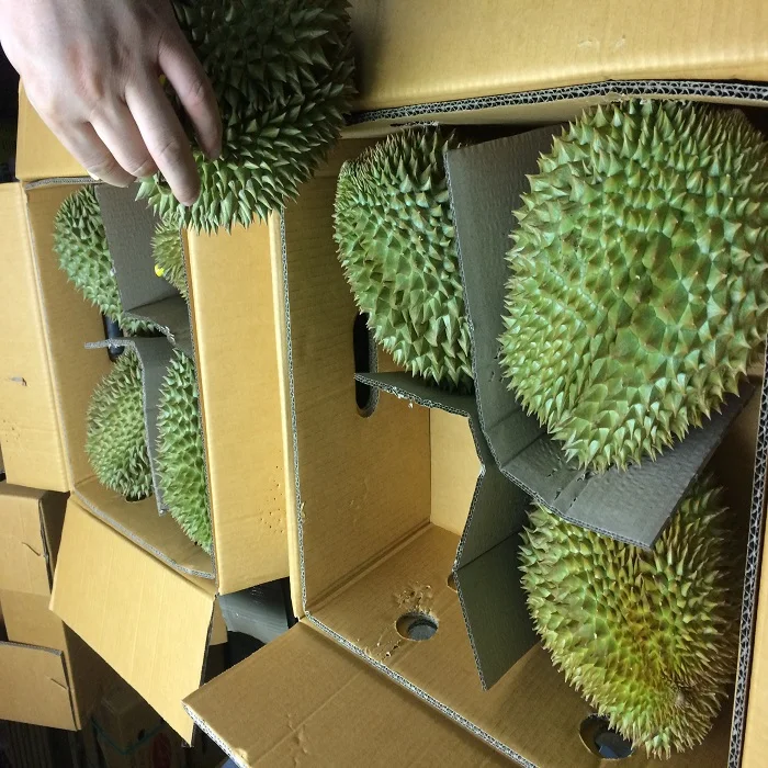 Fresh Musang King