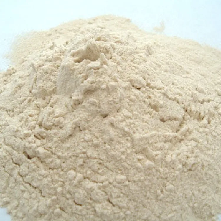 
High Quality Vital wheat gluten wheat gluten flour wheat gluten for sale 