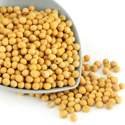 
GMO and Non GMO Soyabean/Soybean for Sale 