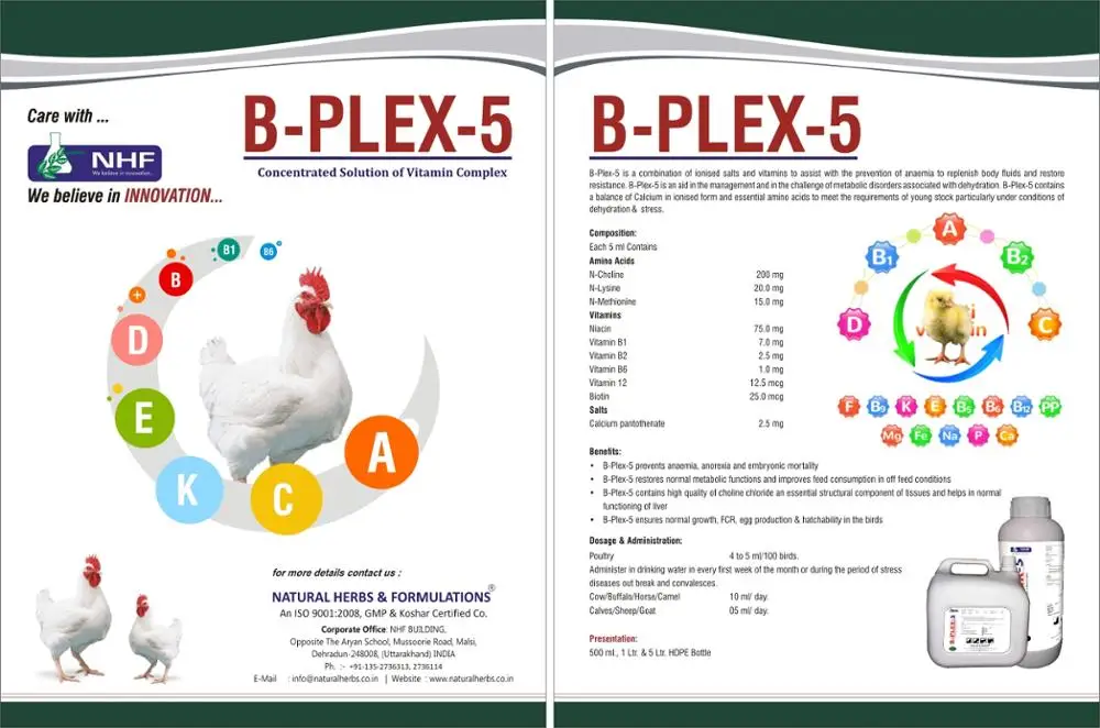 B Complex Multivitamin with Essential Amino Acids For horse and Cattle supplement