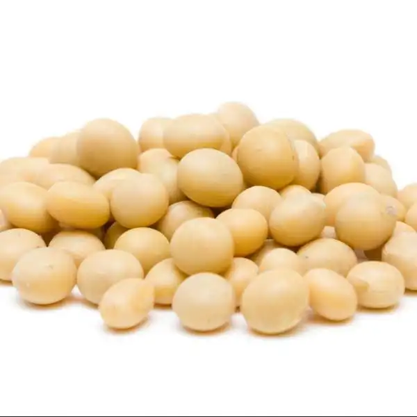 Bulk Dried Wholesale Soybeans