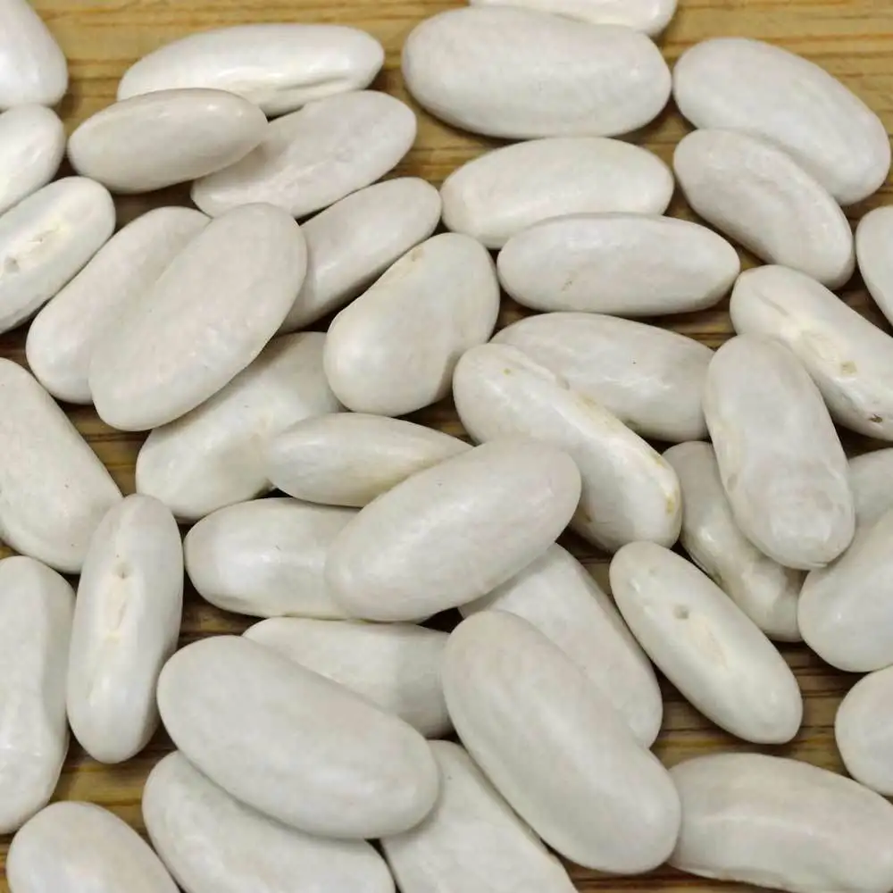 
 Organic White Lima Beans factory price  