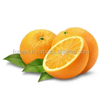 Fresh Valencia Orange/Fresh Mandarin Orange/Egypt oranges