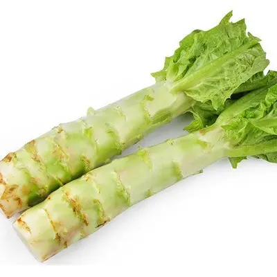 wholesale variety of fresh Organic Vegetables