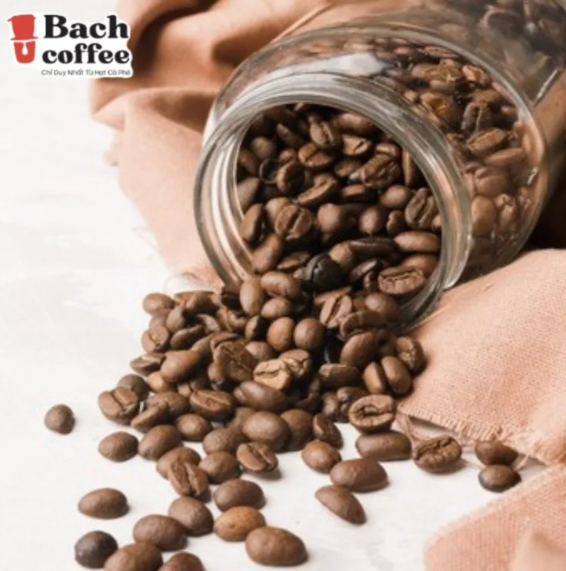 
Roasted Coffee. Beans /Vietnamese Organic Coffee / Gourmet-High-Quality-Pure Robusta Coffee-small batch - Medium roast. 