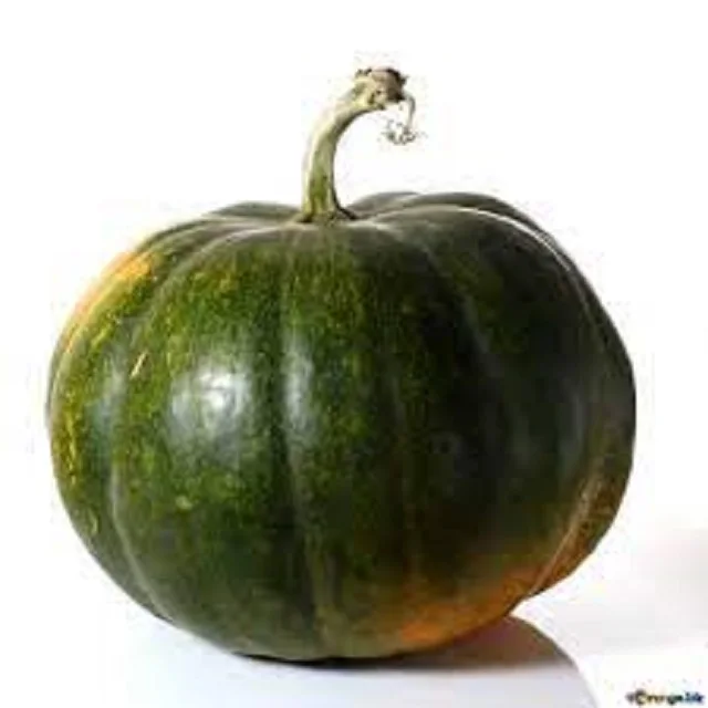 pumpkin - Pumpkin Fresh and everything nice.