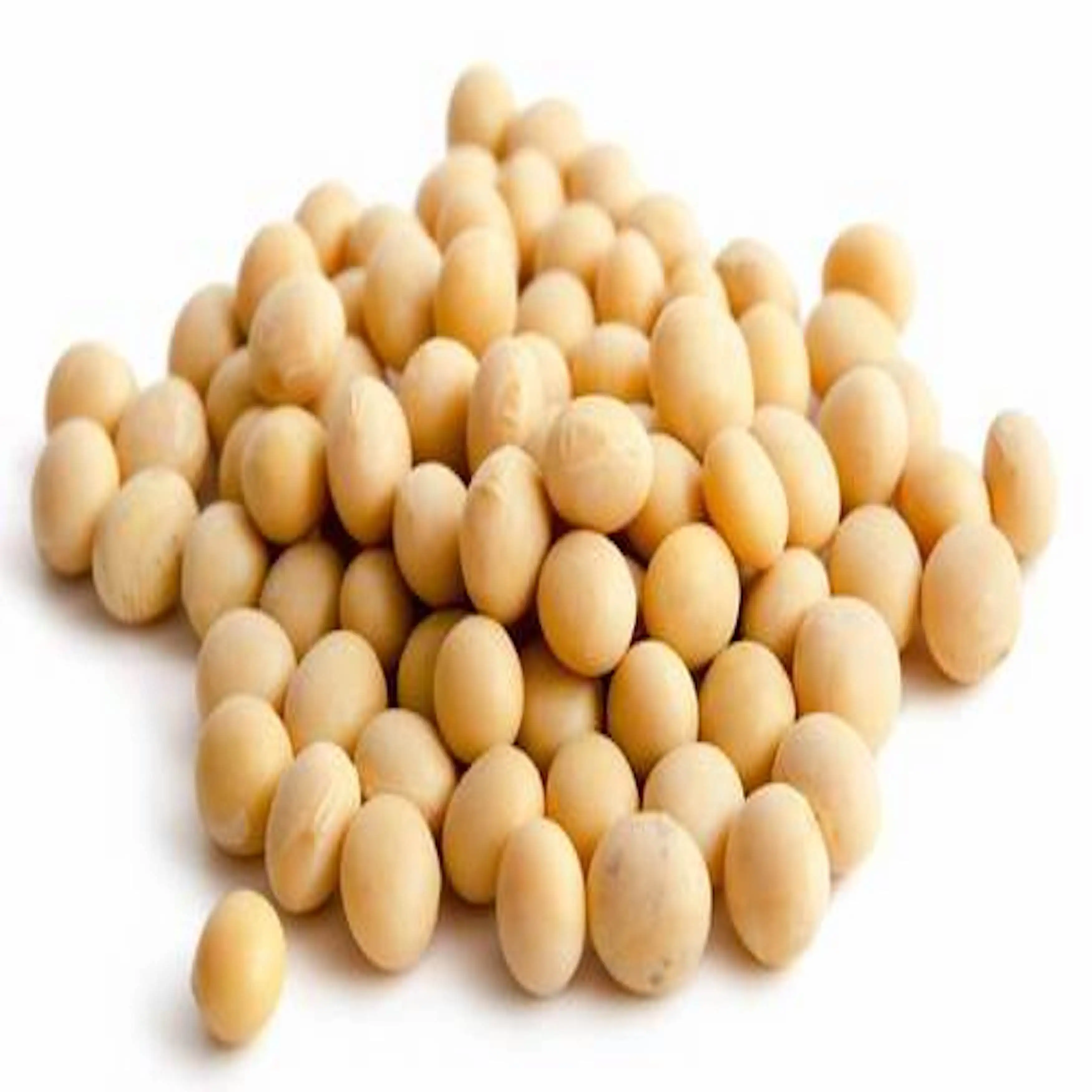 
Soybeans NON GMO Crop High Quality Soybean Wholesale  (1700002731666)