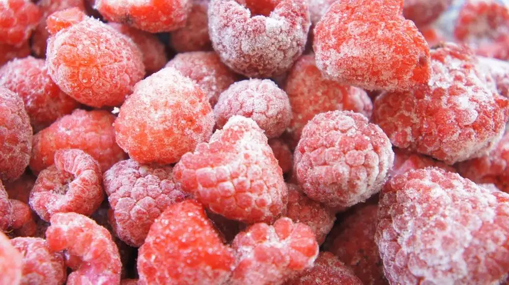 Frozen Raspberries I frozen raspberries bulk at low price from PERU
