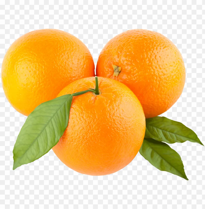 High quality Egyptian Sukkari sweet Orange waxed washed in 15 kg carton boxs delicious for juice