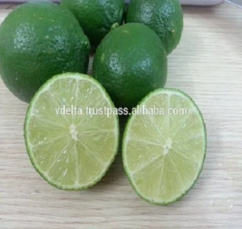 BEST PRICE FRESH LIME / LEMON SEEDNESS  SALES / FROM VIETNAM / AMBER