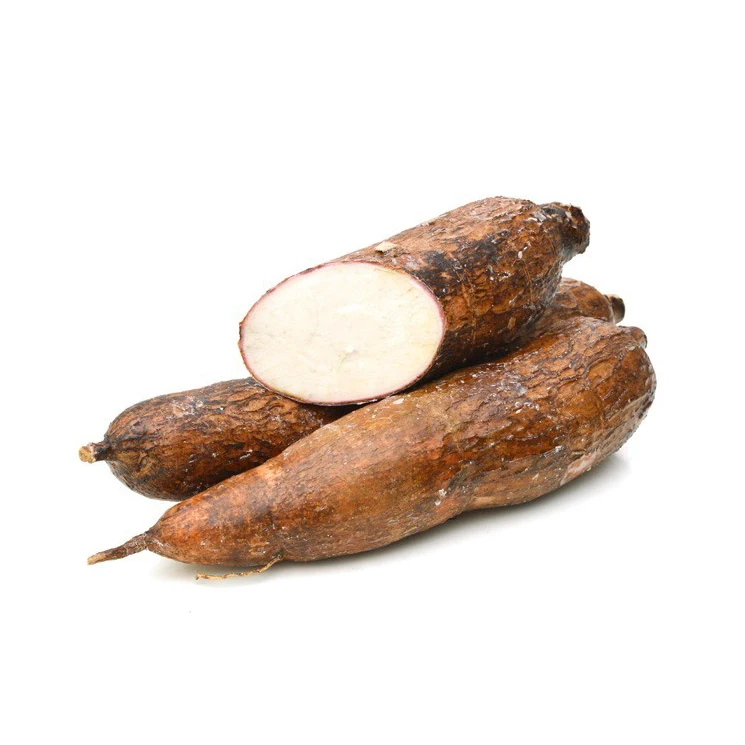
100% High Quality Fresh Cassava/fresh frozen cassava 