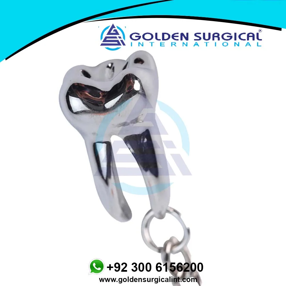 Custom Teeth Keychain Dentist Decoration Key Chains Stainless Steel Tooth Model Shape Dental Clinic Gift Wholesale
