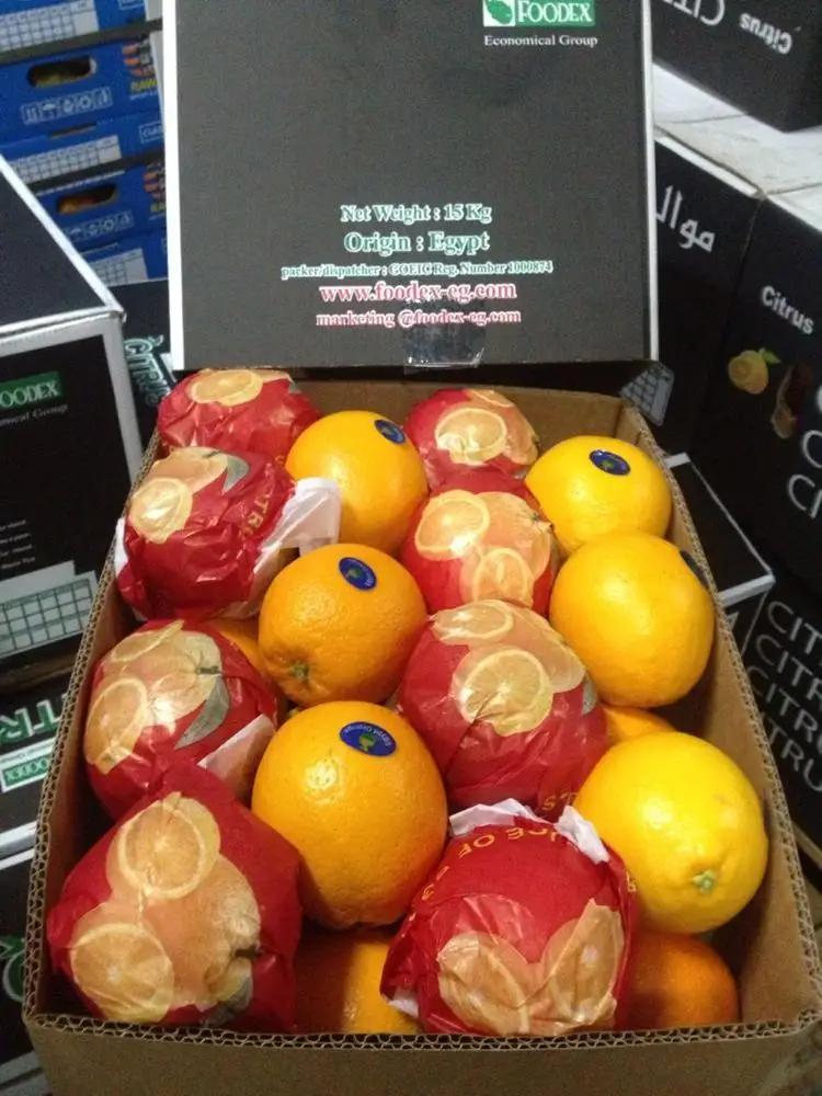 Fresh orange fruit price