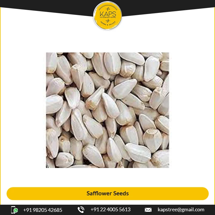 
Wholesale Supplier of 100% Pure White Safflower Seeds 