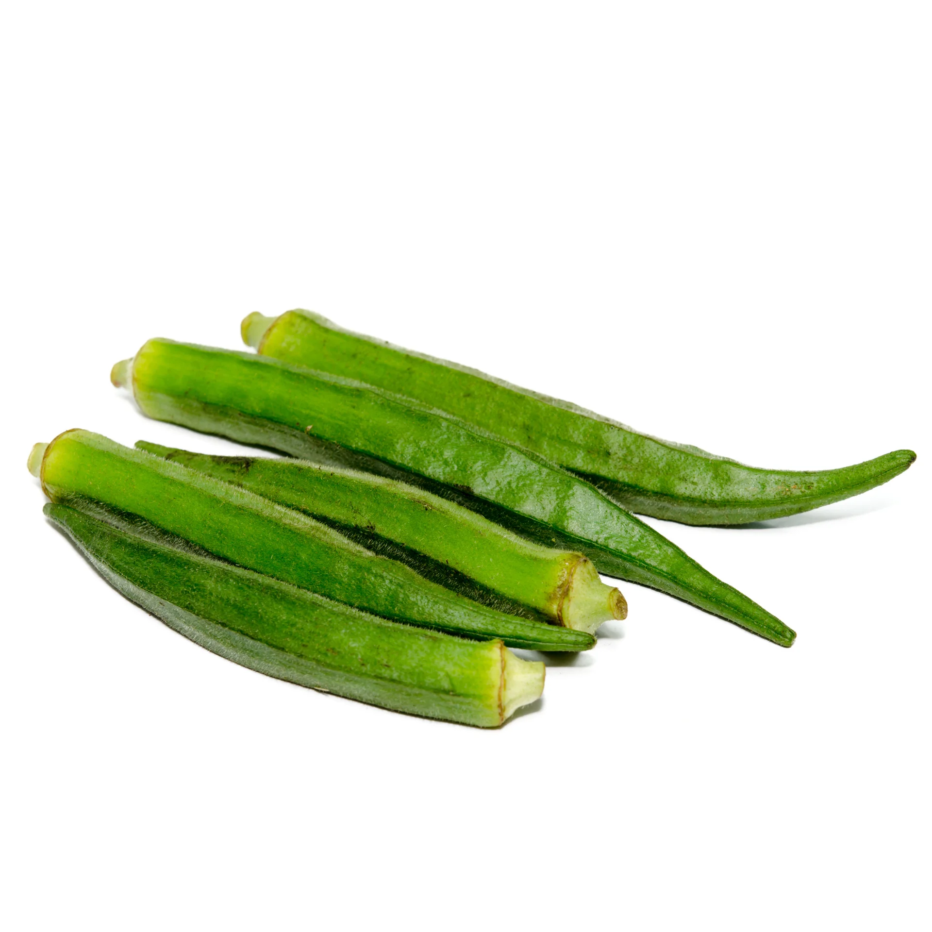 Okra High Quality