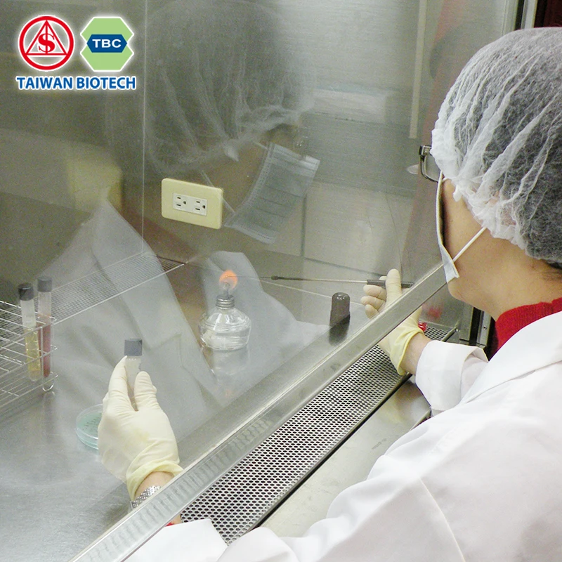 
Sintong Nattokinase Softcapsule for Heart Health 