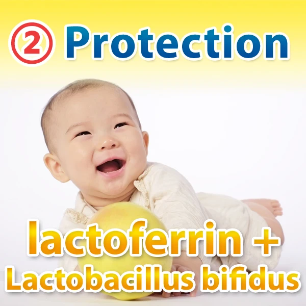 Probiotics, Prebiotics and vitamin D complex powder supplement with GMP certification