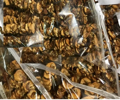 Высокое качество, оптовая цена, новый урожай, 2021 сушеные грибы шишишке, органические сушеные продукты питания