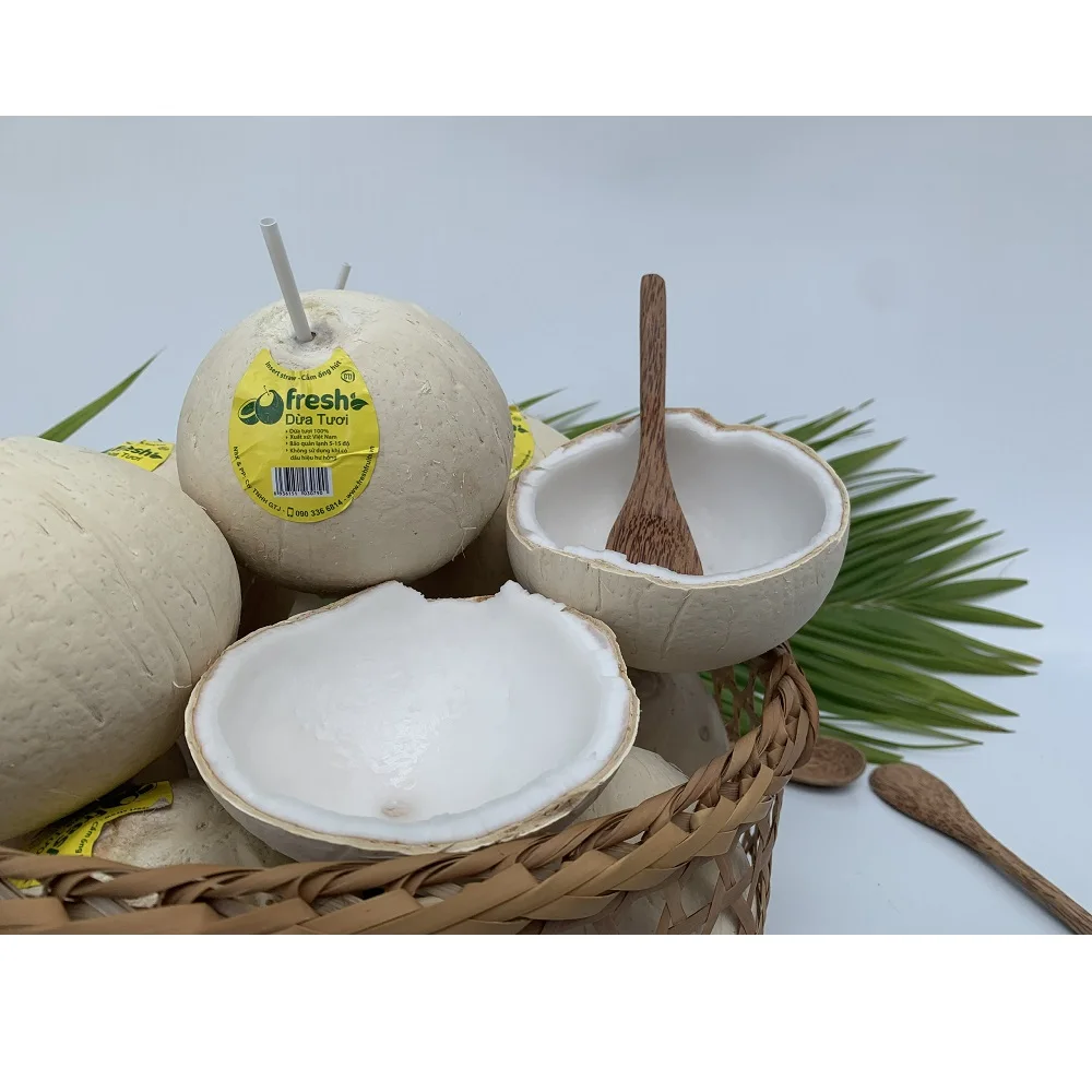 
Wholesale Bulk Cheap Price 100% Natural Fresh Convenient Coconut From Vietnam 