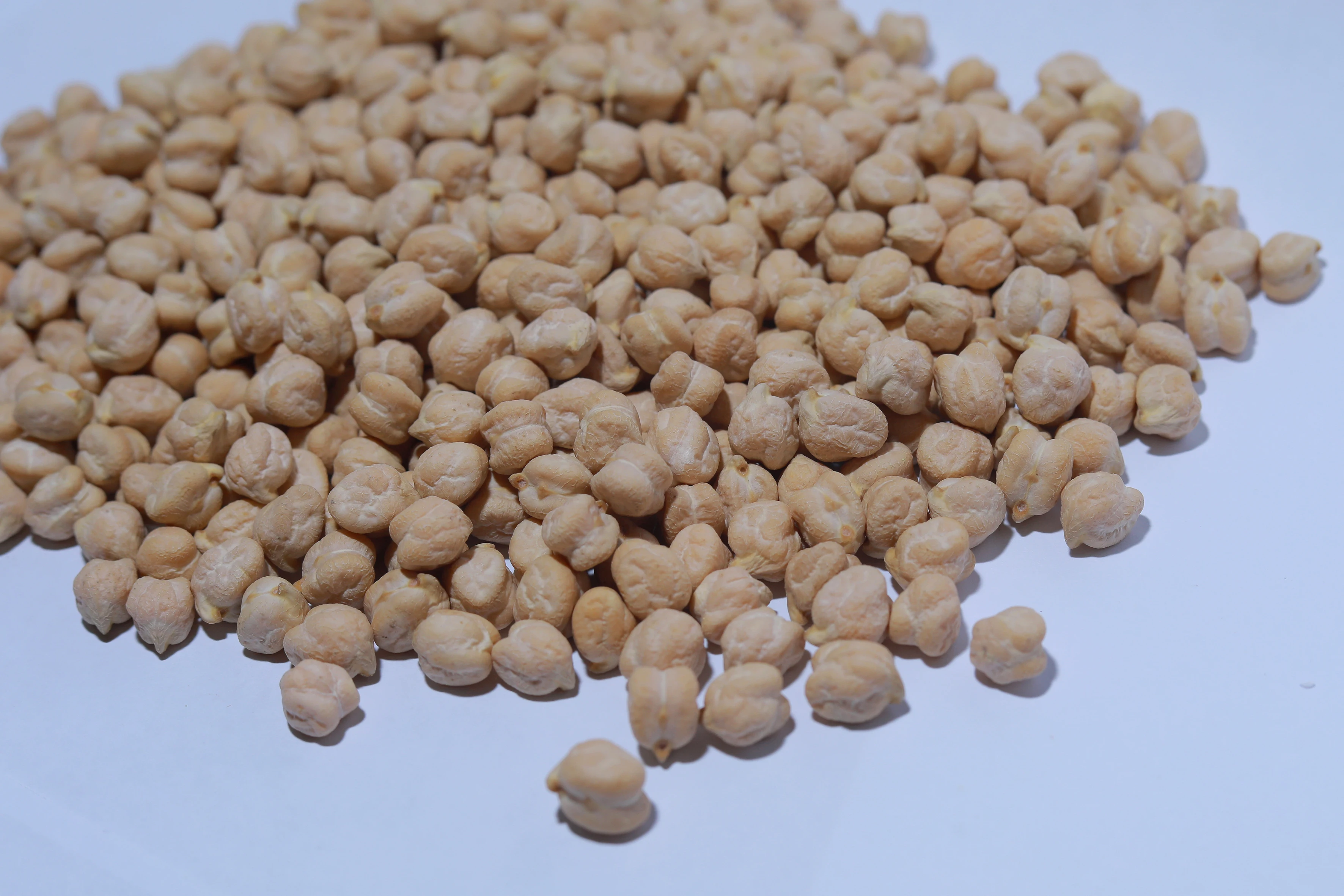 Сырой сушеный нут высокого качества в Бельгии оптом для продажи от производителя 7 мм 8 9 10 11