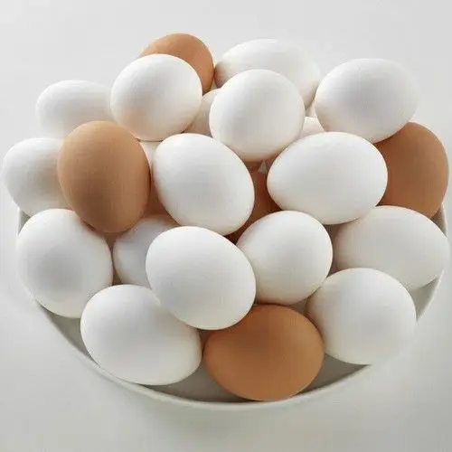 
Farm Fresh chicken egg white and brown size 40g-50g-60g-65g-70g 
