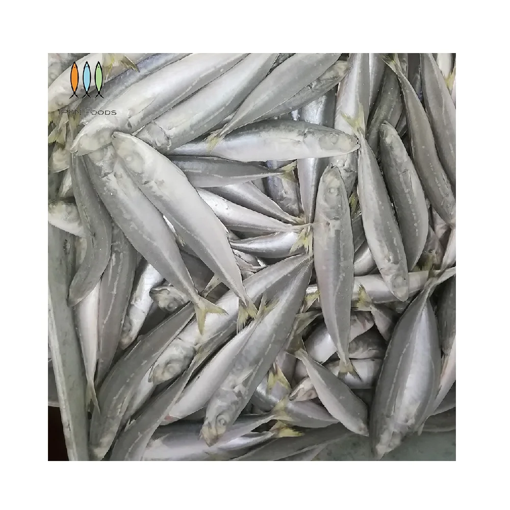 Nature Fresh Seafood Purse Seiner Whole Body Frozen IQF BLOCK Seasonal Decapterus Macrosoma Layang Scad