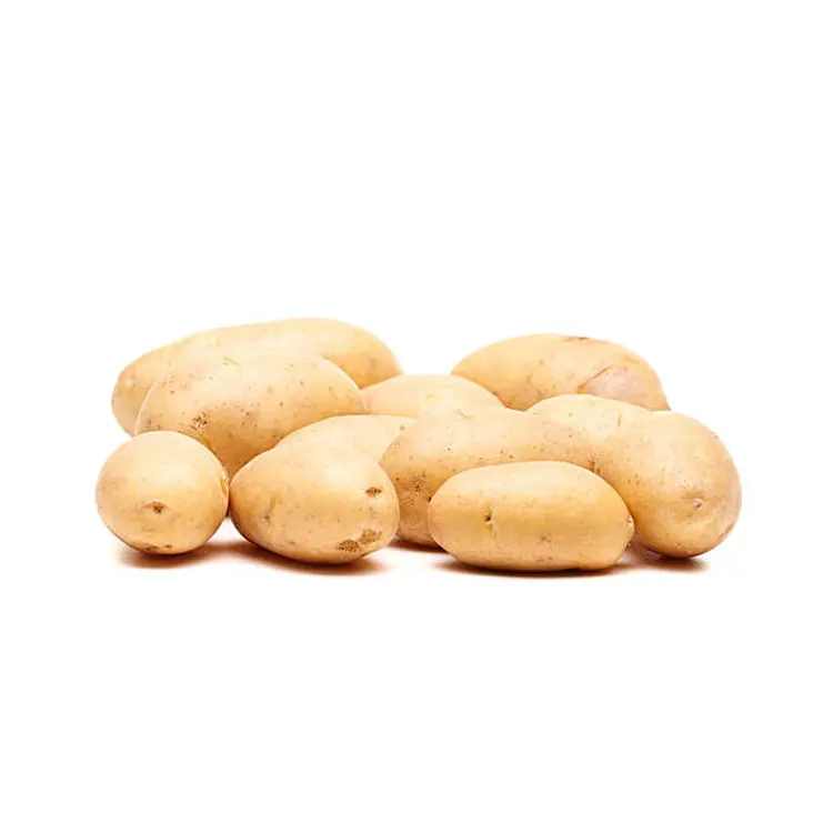 Good Quality Potato from Pakistan for Russia, Middle East and KSA