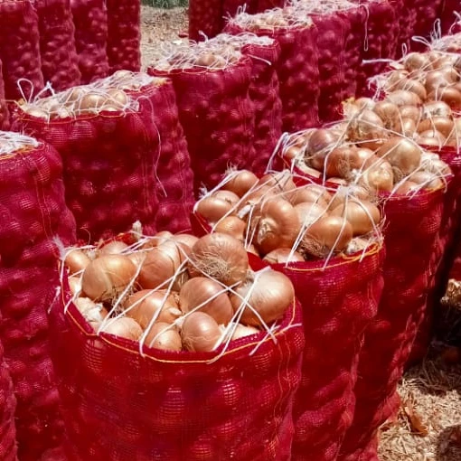 Fresh Yellow onions