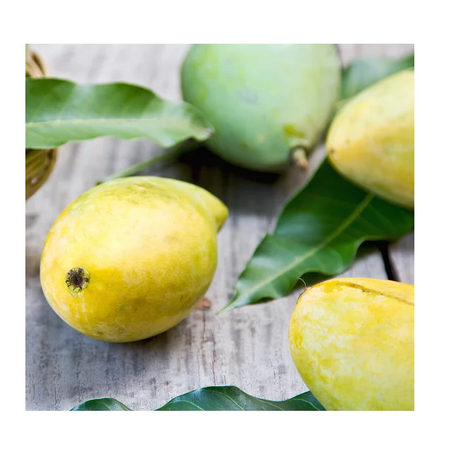 Cheap Wholesale Price Keitt Pakistani Mangoes In Bulk