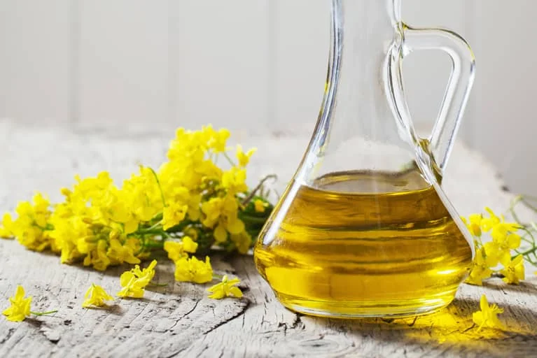 Best Class Premium Quality Crude/Refined Canola Oil/Rapeseed Oil Available