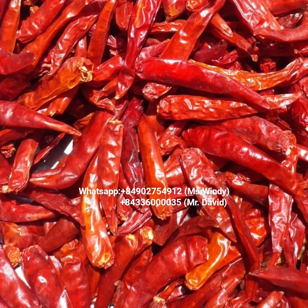 Высокостандартный экспорт вьетнамский сушеный Чили высококачественный натуральный красный перец чили по тонной цене