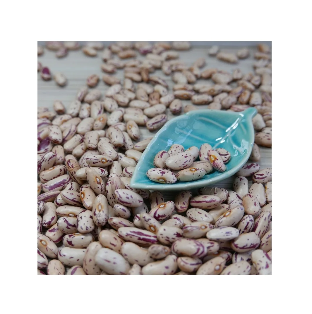 High quality light speckled kidney beans