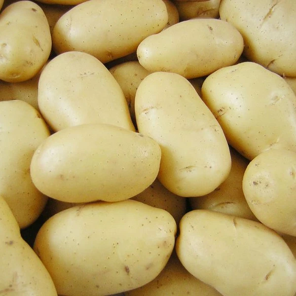 
Potatoes For Sale 
