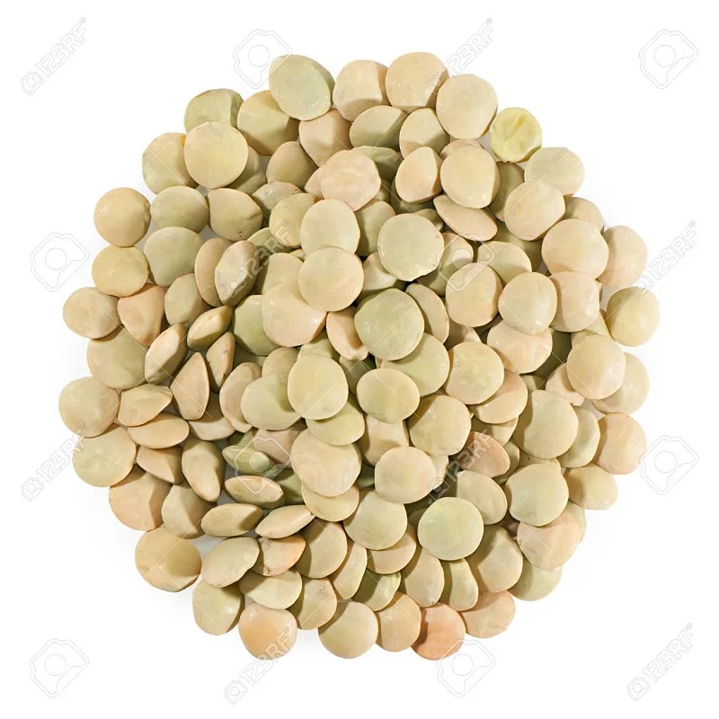 Organic Lentils Green Lentils Beans Green Lentil for wholeSale
