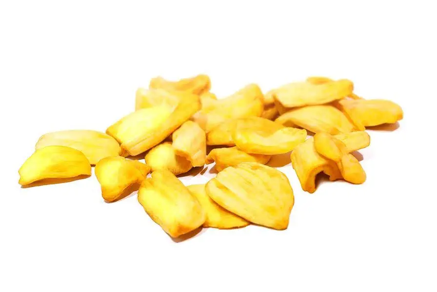 Crispy Dried Jackfruit Chips Good Price / Dried jackfruit Organic / Shyn Tran +84382089109