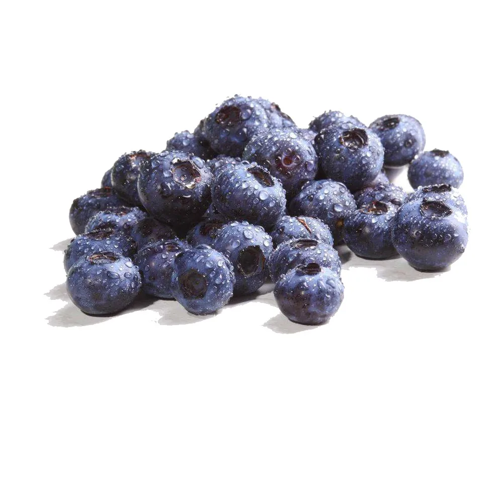 Top quality sweet fresh frozen blueberries